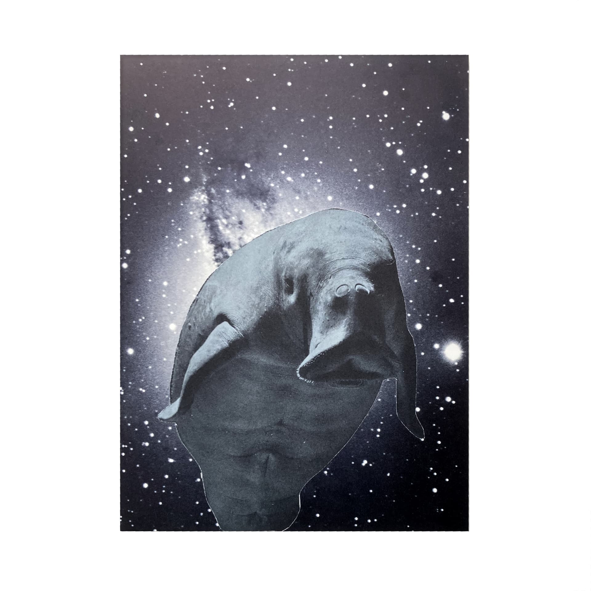 "Per Chiara" — collage analogico, found photos, carta, colla — Ferrara, 2026